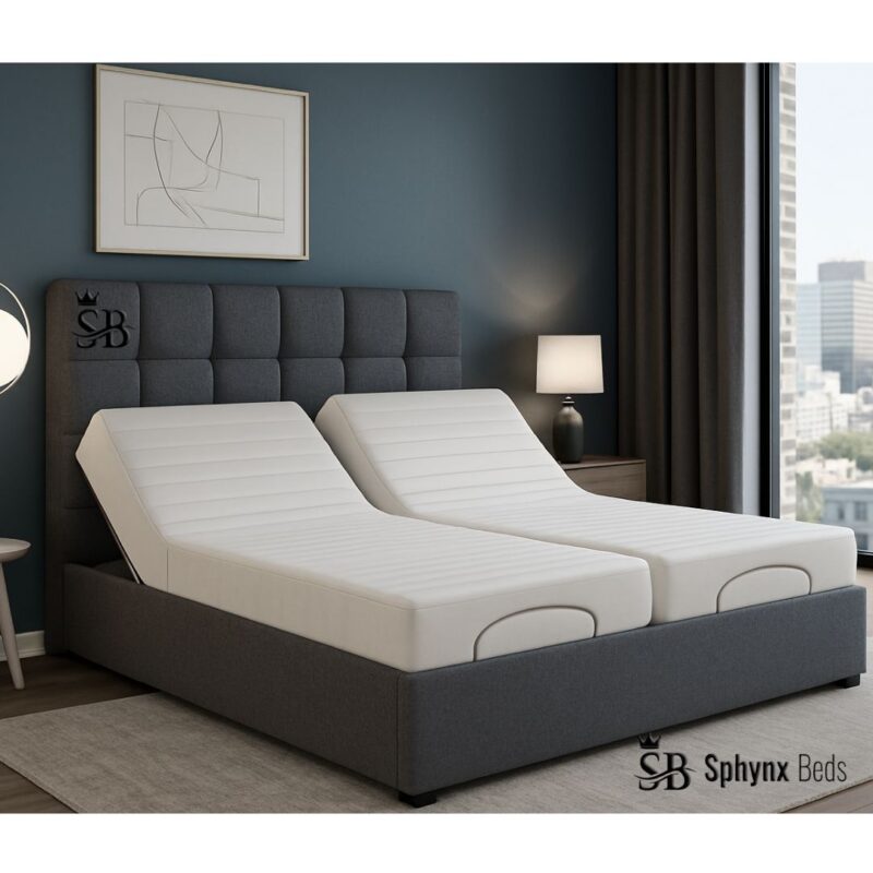 Denmark Dual Adjustable Bed